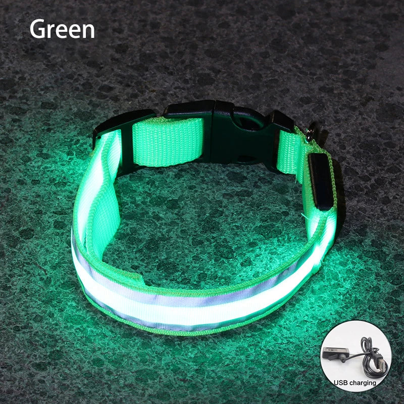 Led USB Rechargeable Dog Collar