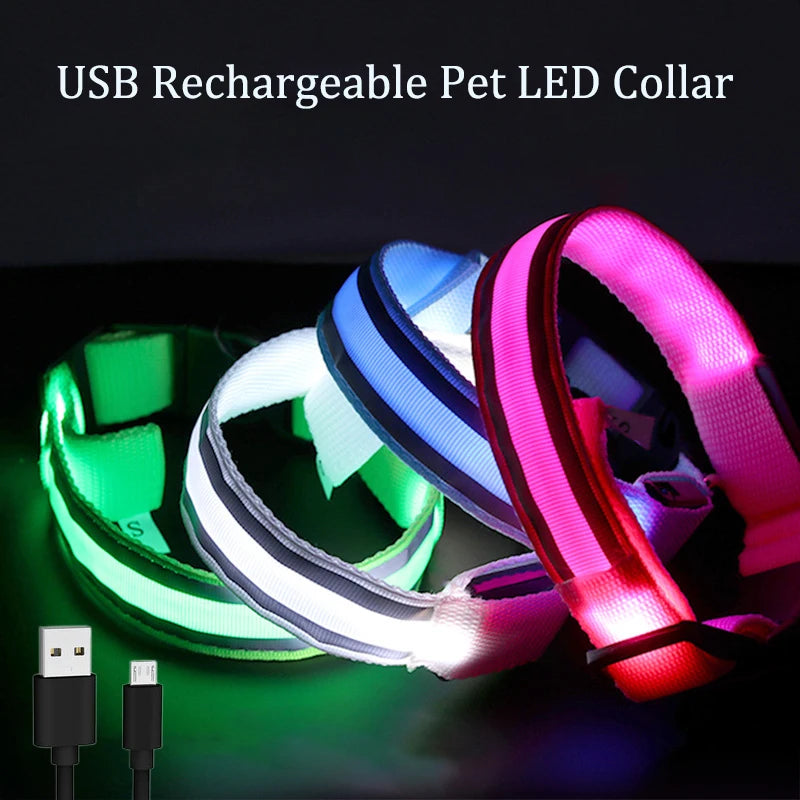 Led USB Rechargeable Dog Collar