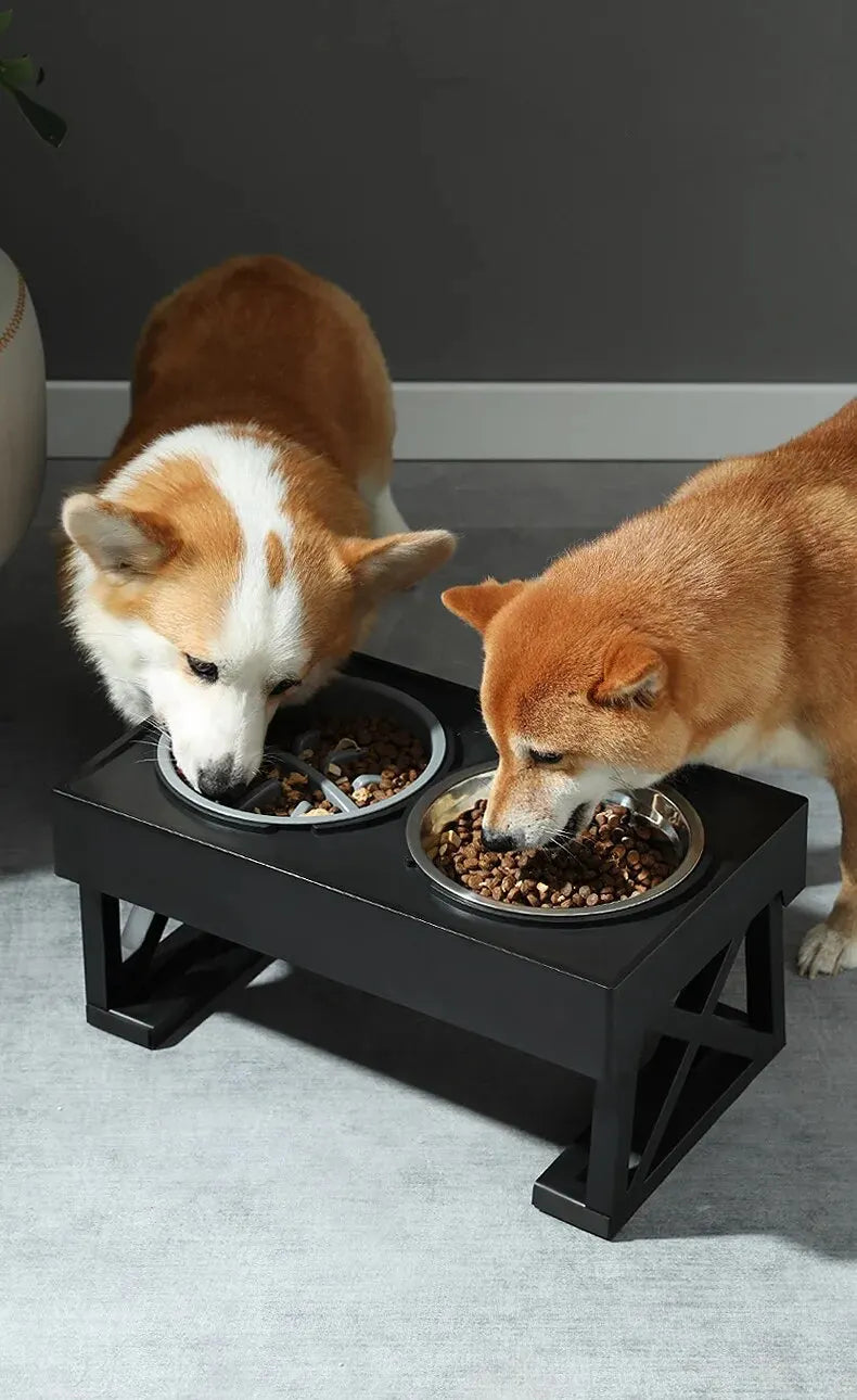 Elevated Eating Bowls