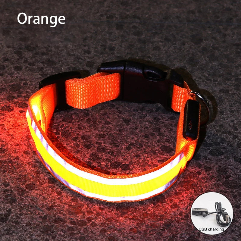 Led USB Rechargeable Dog Collar