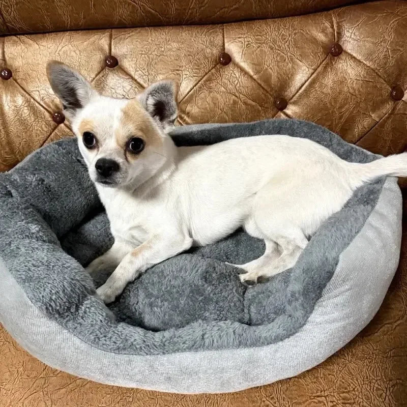 Very Soft And Warm Dog Basket Bed