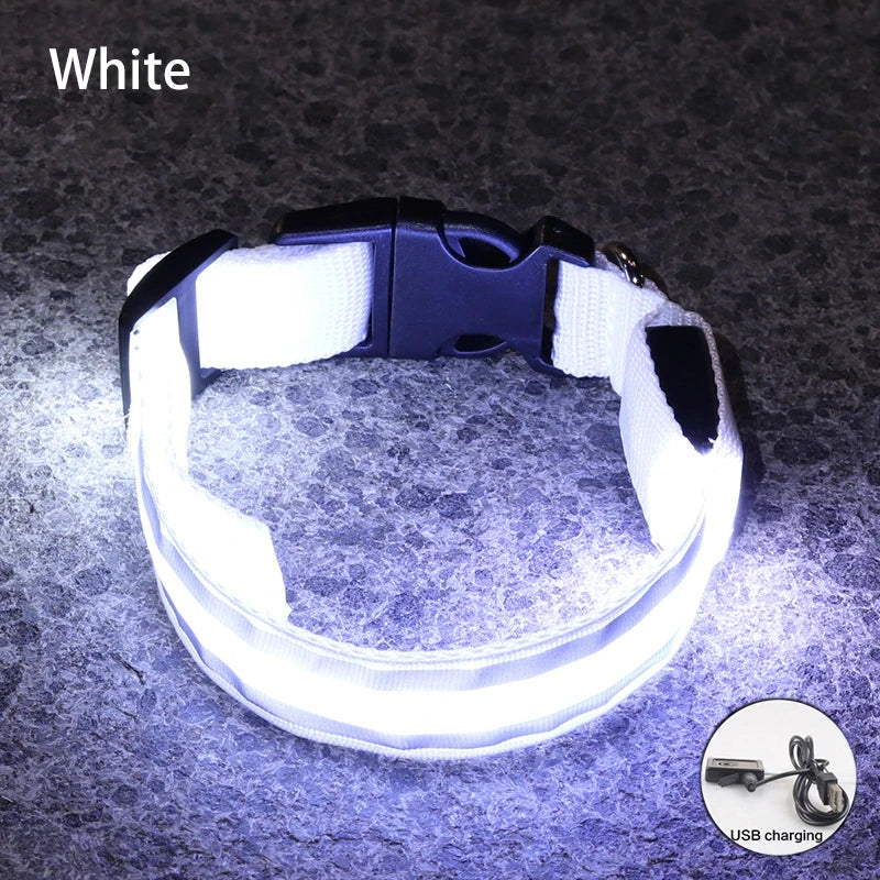 Led USB Rechargeable Dog Collar