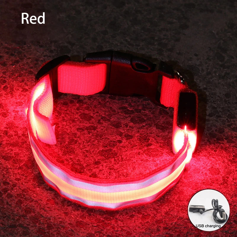 Led USB Rechargeable Dog Collar