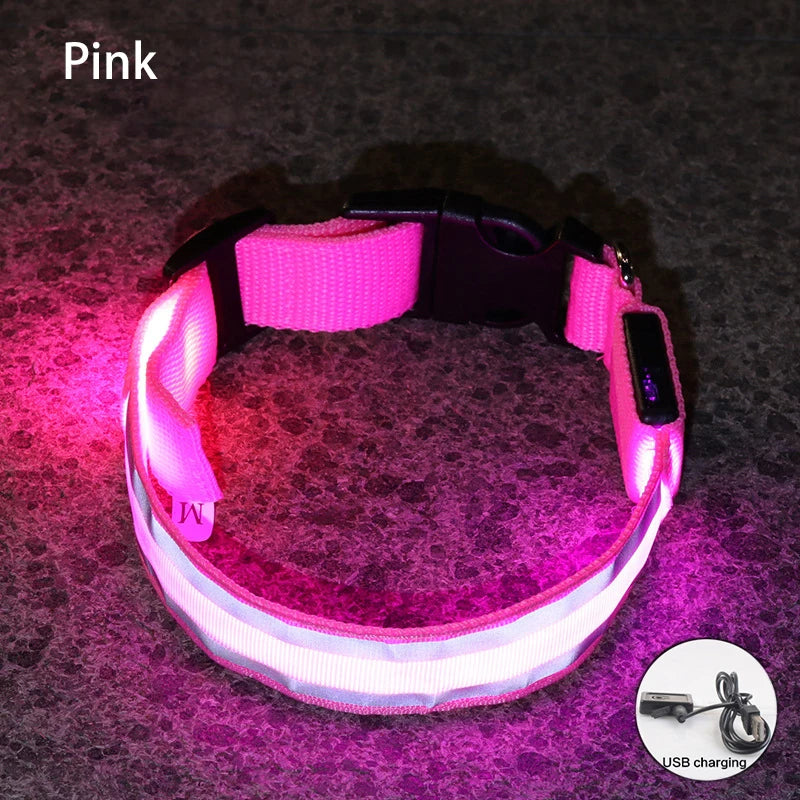 Led USB Rechargeable Dog Collar