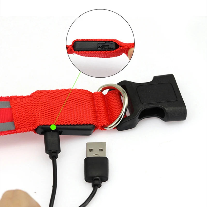 Led USB Rechargeable Dog Collar