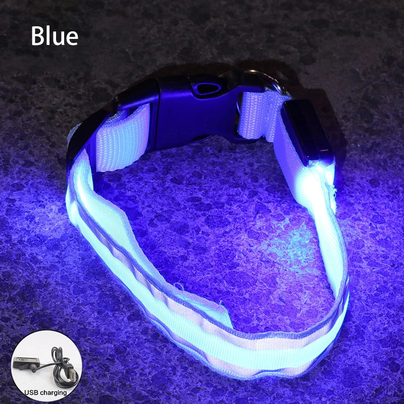 Led USB Rechargeable Dog Collar