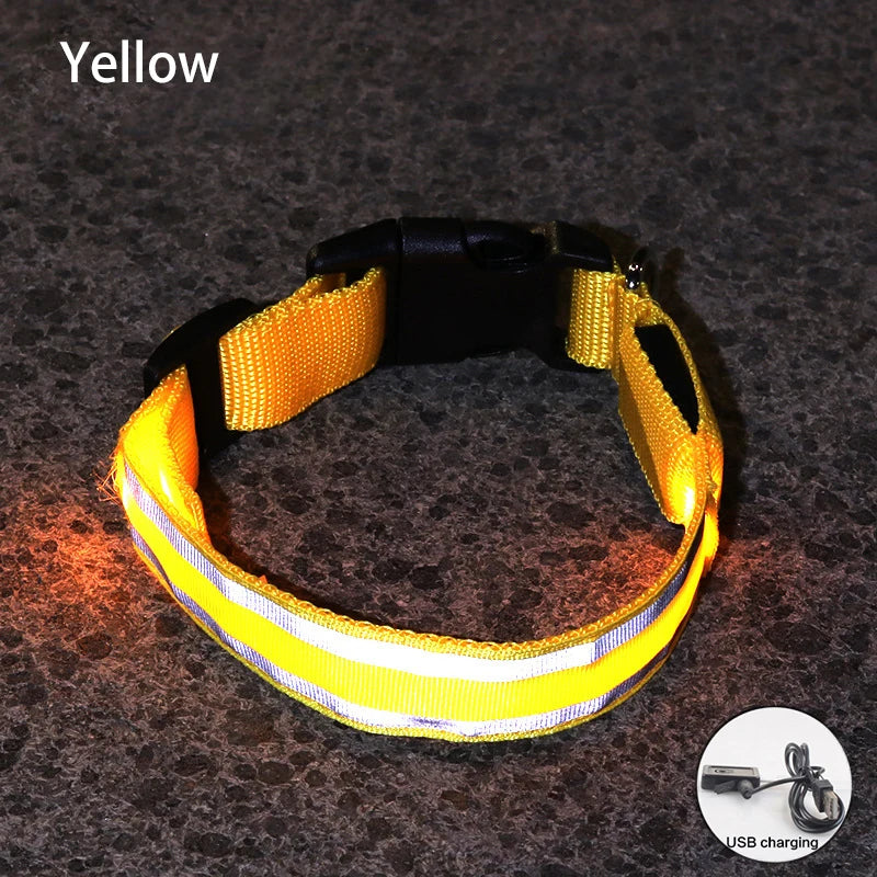 Led USB Rechargeable Dog Collar