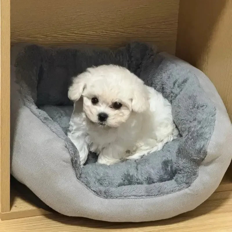 Very Soft And Warm Dog Basket Bed